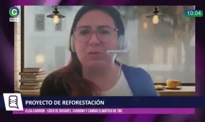 Reforestarán el Gran Chaco con más de 100 mil árboles: por qué eligieron una especie autóctona