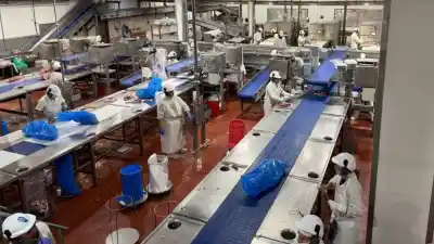 Santa Fe activó un plan para que las empresas paguen la luz en cuotas: quiénes pueden anotarse