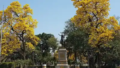 La plaza San Martín arranca una obra clave: qué van a demoler y cuándo estará lista