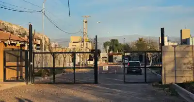 Una nena advirtió que su abuela y su hermano no estaban: lo que encontró la madre en el patio