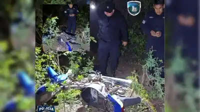 Patrullaban la zona de monte en Palma Sola y algo apareció entre los arbustos