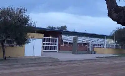 Denunciaron bullying y malos tratos en un colegio de La Pampa: la reacción de Educación