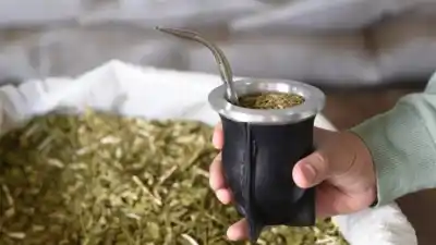 El mate no falta en ninguna mesa, pero los que lo producen están desapareciendo