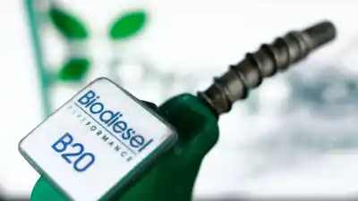 El Senado vota la ley de biocombustibles: el cambio que nadie esperaba