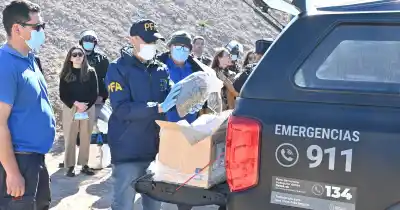 Incineraron más de 600 kilos de marihuana en Roca: el detalle que explica por qué no fue un acto más