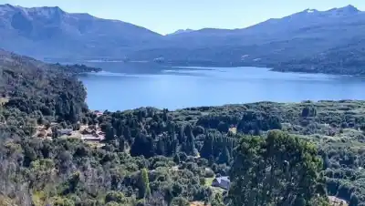 El sendero que nació de un incendio: los alumnos que sembraron un bosque en la Patagonia