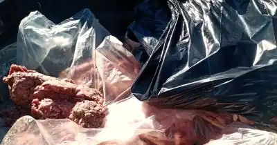 Inspeccionaron tres carnicerías en Malargüe y lo que apareció en una de ellas dejó a todos en silencio