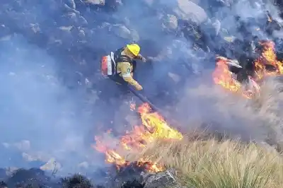 Seis países desembarcan en Merlo para hablar de incendios: lo que se viene