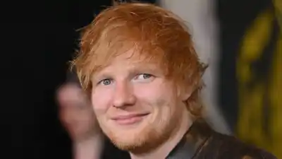 Ed Sheeran invirtió US$5 millones en un campo y 10 años después nadie esperaba lo que hay adentro