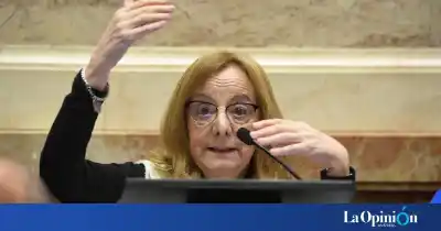 Alicia Kirchner mostró una factura de 28 de Noviembre en el Senado y dejó mudo al recinto