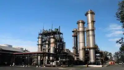 La zafra tucumana no frena: el número que ilusiona a los ingenios y ya tiene fecha límite para exportar