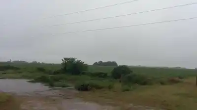 Lluvias torrenciales en la región núcleo: el agua que salva y el diluvio que paraliza la cosecha