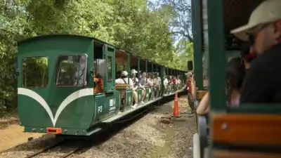 El tren que recorre las Cataratas podría dejar de enchufarse a la red: el plan que ya analizan