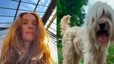 Natalia Oreiro lanza un desesperado pedido: su familia está incompleta y necesita ayuda urgente