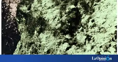El Calafate se llena de arte: abren una muestra que mira lo que las estrellas no muestran