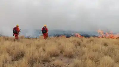 Tres incendios en Abra Pampa: el fuego llegó a 150 metros de una cabaña con animales