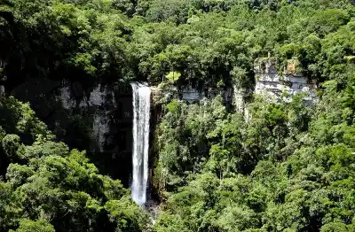 Misiones ya tiene nuevos jefes en tres parques: el detalle que cambia la historia del Cuerpo de Guardaparques