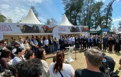 Caminó la pista de ExpoBRA y descubrió lo que Santiago ya no le compra a nadie
