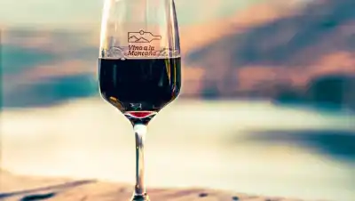 San Martín de los Andes vuelve a ser el epicentro del vino patagónico: la fecha que todos esperaban