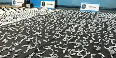 El almacén "24 horas" de Budge que escondía algo más que mercadería: dos mujeres detenidas