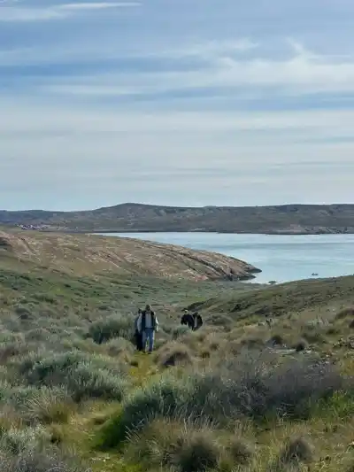 Recorrieron un paraíso natural de Chubut: qué se esconde en la Isla Leones