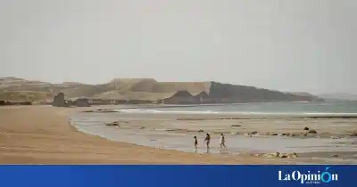 Santa Cruz sumó una reserva marina gigante: qué se prohibió en la costa
