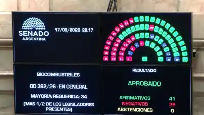 El Senado aprobó los biocombustibles: así votaron los senadores de la Patagonia