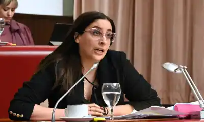 Sarmiento reclama quedarse con el 70% de las entradas al área protegida: qué pasará con el resto
