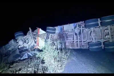 Manejaba de madrugada por la Ruta 92, esquivó vacas y terminó volcando