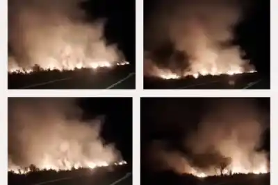 El fuego avanza junto a la ruta y hay un detalle que preocupa a los que manejan de noche