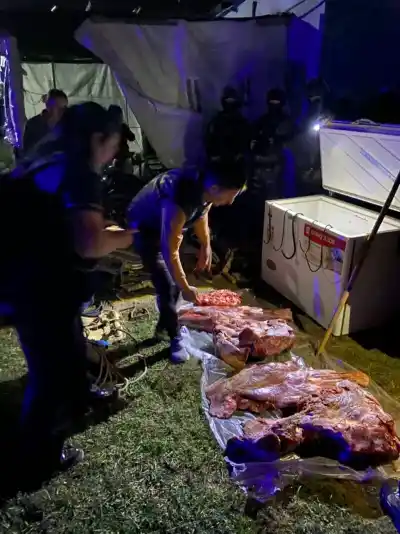 Faenaban carne en Santa Ana: cuatro allanamientos y lo que encontraron adentro