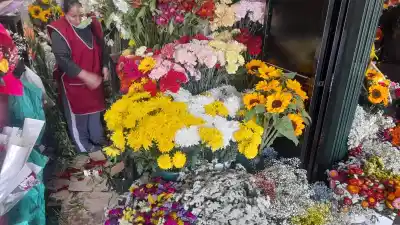 Flores amarillas en Jujuy: el precio que sorprende a más de uno este 21 de septiembre