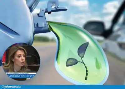 El Senado debate el futuro de los biocombustibles y lo que se viene cambia el precio de la nafta