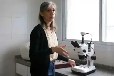 Cecilia Gittins: la científica neuquina que estudia los bichos que podrían reemplazar a los agroquímicos