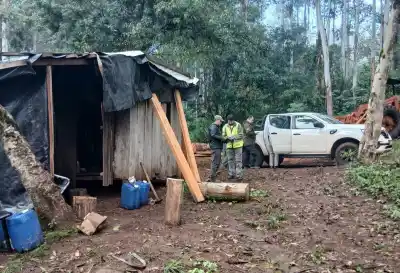 El operativo en un campamento forestal de Misiones que dejó a la vista lo que nadie quería mostrar