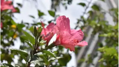 La primavera 2026 ya tiene fecha y hora: el detalle que sorprende a todos