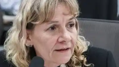 Palladino mete la lupa en el Presupuesto 2027 y enciende las alarmas por las pensiones por discapacidad