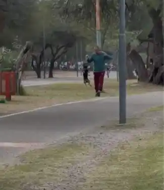 Maltrato animal en el Parque Adán Quiroga: un lector lo filmó todo