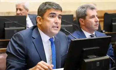 El reclamo que solo un senador pampeano se animó a hacer en el Congreso