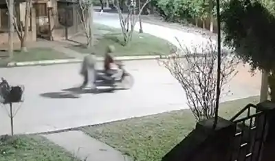 Robaron una moto y quedaron filmados: lo que hizo la dueña después lo cambió todo