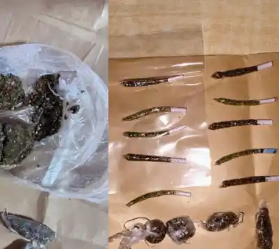 La Justicia Federal allanó una casa en Chubut: lo que encontraron adentro complicó a dos personas