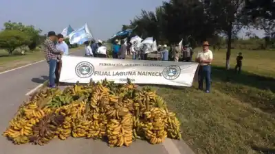 Regalan 5.000 kilos de banana en una ruta de Formosa y nadie imagina el motivo real