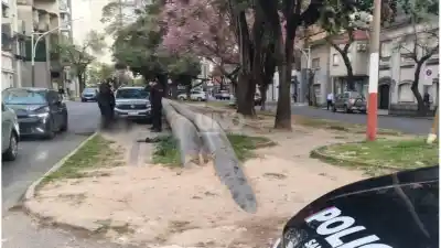 Salió a pasear al perro y encontró a un nene inmóvil en pleno bulevar Pellegrini