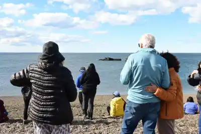 Ballenas en El Doradillo: abren la inscripción para una salida gratis, pero hay un requisito que deja a muchos afuera