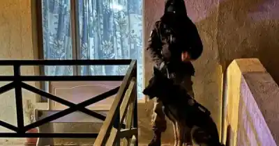 Vendían cocaína con delivery y kioscos en El Calafate: la trama que la Policía siguió durante siete meses
