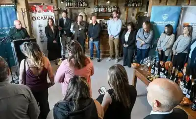 Puerto Madryn se llena de vinos: la postal que sorprende a propios y extraños
