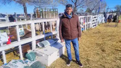 Conesa se prepara para su gran fiesta del campo: lo que nadie quiere que siga pasando en la Patagonia