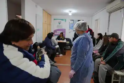 Llevaron a castrar a sus mascotas al barrio Roca: el número que dejó el operativo
