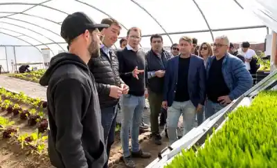 Rawson ya cultiva lechugas sin tierra: el sistema que sorprendió a todos en la ADER