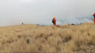 Quemaban pastizales en El Huancar: ahora la Fiscalía Ambiental los investiga de oficio